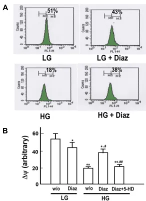 Fig.  8.  Effect  of  diazoxide  on  high  glucose-induced  formation  of  mitochondrial  permeability  transition  pores  and   cyto-chrome  c  release