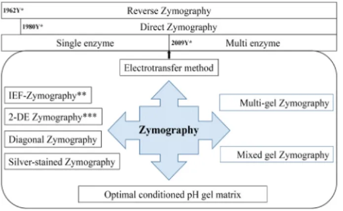 Fig.  1.  Various  zymography  techniques  over  fifty  years.  Various  techniques  have  been  developed  for  research  purposes.