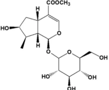 Fig.  1.  Chemical  structure  of  loganin.