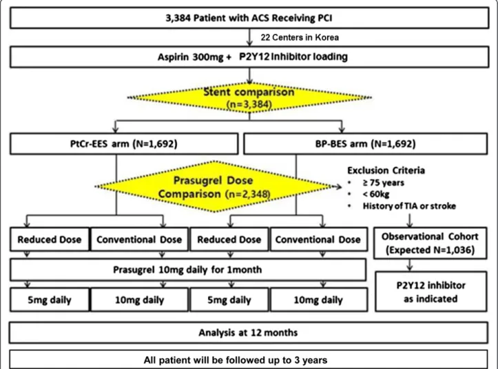 Fig. 1 HOST-REDUCE-POLYTECH-ACS trial algorithm. Abbreviations: ACS acute coronary syndrome, BP-BES biodegradable polymer-coated biolimus-eluting stent, PCI percutaneous coronary intervention, PtCr-EES platinum-chromium-based everolimus-eluting stent, TIA 