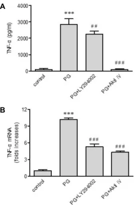 Fig.  4.  Effects  of  rapamycin  on  peptidoglycan  (PG)-mediated  up-regulation  of  TNF-α