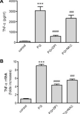 Fig.  5.  Effects  of  inhibitors  of  MAPKs  on  peptidoglycan  (PG)-  mediated  up-regulation  of  TNF-α