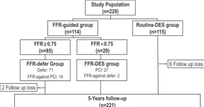 Figure 1. Study flow. DES indicates drug-eluting stent; FFR, frac- frac-tional flow reserve; and PCI, percutaneous coronary intervention.