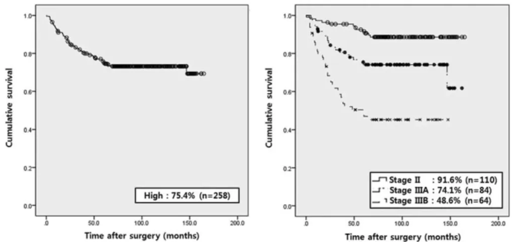 FIGURE 3. Five-year recurrence-free survival rate of high-risk patients according to NIH classification and TNM systems