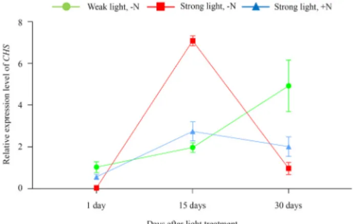 Fig.  6.  Changes  in  CHS  expression  according  to  light  and  nitro- nitro-gen  nutrient  conditions