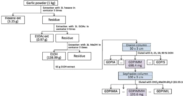 Fig.  1.  Activity-guided  purification  scheme  of  GDPIMMIH  from  the  garlic  powder