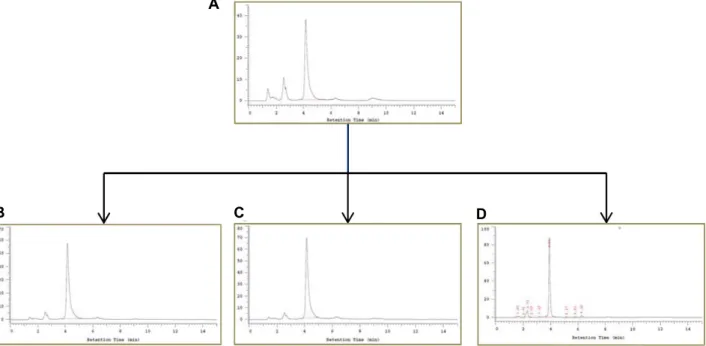 Fig.  1.  HPLC  diagram  of  quercetin.  (A)  Red-Q,  sample  loading  500  μg/ml  (B)  Red-BCQ,  quercetin  bioconverted  by  Bacillus  poly- poly-fermenticus  KJS-2,  sample  loading  500  μg/ml  (C)  Red-BCQ,  quercetin  bioconverted  by  Bacillus  moja