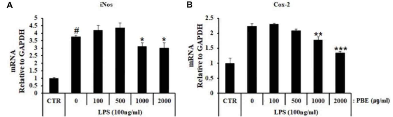 Fig.  3.  Inhibitory  effect  of  PBE  on  iNos  and  Cox-2  expression  in  LPS  stimulated  BV-2  microglia