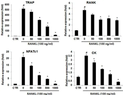 Fig.  3.  Effect  of  Locusta  migratoria  extract  on  osteoclatogenesis  related  gene  expression