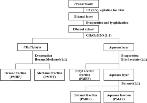 Fig.  1.  Procedure  of  extract  and  fraction  layers  of  Prunus  mume.