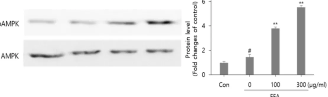 Fig.  5.  Effects  of  Cudrania  tricuspidata  fruit  extract  on  AMPK  phosphorylation  in  HepG2  cells