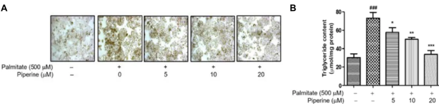 Fig.  2.  Effects  of  piperine  on  palmitate-treated  lipid  content.  HepG2  cells  were  left  untreated  or  treated  with  piperine  for  24  hr