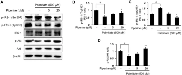 Fig.  4.  Piperine  attenuated  palmitate-treated  insulin  resistance  in  HepG2  cells