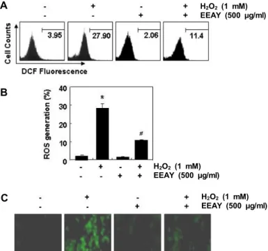 Fig.  3.  Inhibition  of  ROS  generation  by  EEAY  in  H 2 O 2 -treated  RAW  264.7  macrophages
