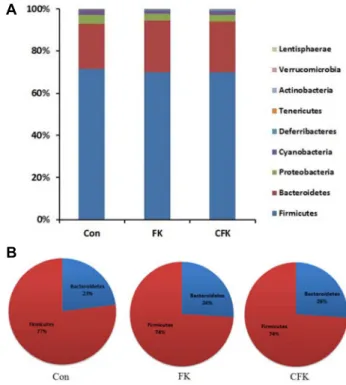 Fig.  3.  The  relative  abundance  of  different  phyla  in  the  intestinal  microbiota  of  the  Sprague-Dawley  rats  fed  with  the  basal  diet  (CON),  the  basal  diet  with  supplemented  fermented  kimchi  (FK)  or  chitosan-added  fermented  kim