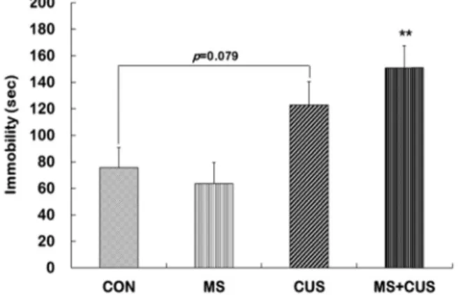 Fig.  5.  Behavioral  changes  in  the  forced  swimming  test  (FST)  in  control,  MS,  CUS,  and  MS+CUS  groups