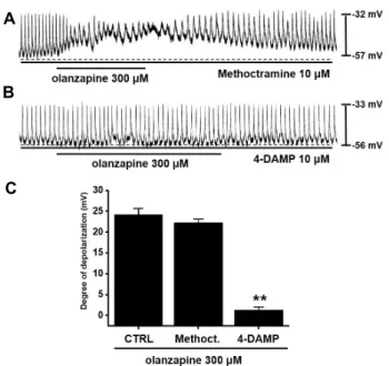 Fig.  1.  Effects  of  olanzapine  on  pacemaker  potentials  in  cultured  ICCs  from  the  murine  small  intestine
