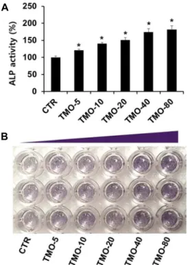 Fig.  2.  Effect  of  Tenebrio  molitor  larvae  Oil  on  the  ALP  activity  and  staining  of  osteoblastic  cells
