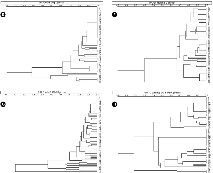 Fig. 2. (Continued from the previous page) E, Leg-1; F, INS-2; G, IS-986-FP; H, RP-15/MBR primers.