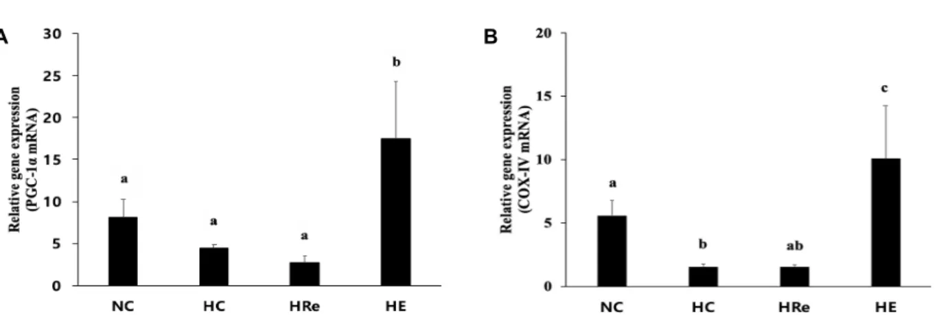 Fig.  4.  The  comparison  of  PGC-1α and  COX-IV  mRNA  among  groups.  (A)  PGC-1α mRNA;  (B)  COX-IV  mRNA