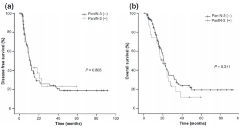 Fig. 1. No association between PanIN-3 in resected tumor samples and (a) disease-free survival ( P = 0.808) or (b) overall survival (P = 0.311).