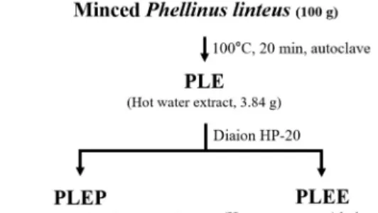 Table  1.  Schematic  process  for  purification  of  bioactive  com- com-pounds  from  Phellinus  linteus 