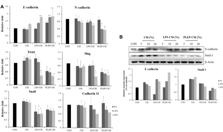 Fig.  4.  Conditioned  media  of  RAW  264.7  cells  activated  with  PLEP  suppress  EMT  process  in  PC-3  cells