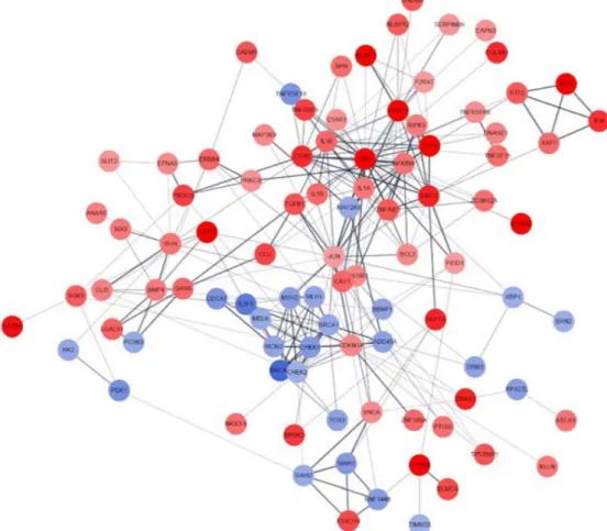 Fig.  3.  Protein–protein  interaction  networks  among  DEGs  regulated  by  p-CA  in  SNU-16  cells