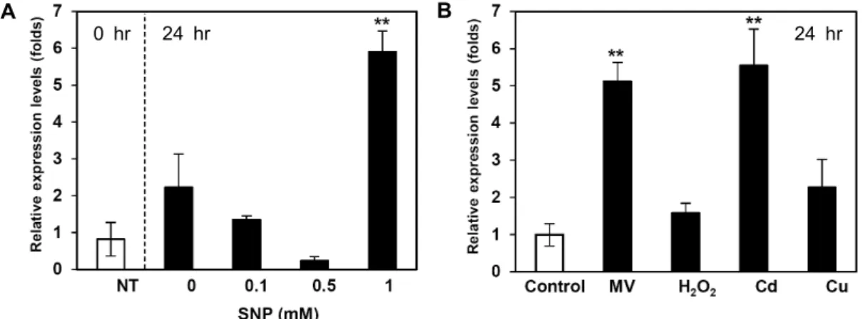 Fig.  3.  Expression  patterns  of  IbNOI  under  SNP  and  chemical  stress  conditions