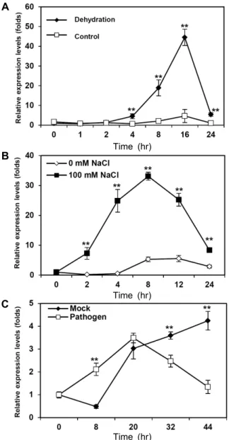Fig.  4.  Expression  patterns  of  IbNOI  under  different  abiotic  stress  and  pathogen  infection  conditions