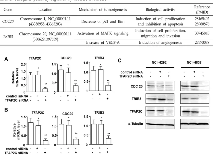 Table  2.  Oncogenes  positively  regulated  by  TFAP2C  in  NSCLC
