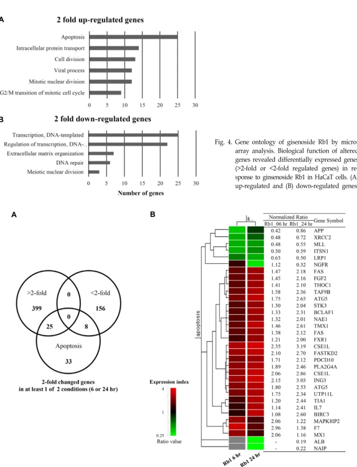 Fig.  4.  Gene  ontology  of  gisenoside  Rb1  by  micro- micro-array  analysis.  Biological  function  of  altered  genes  revealed  differentially  expressed  genes  (>2-fold  or  <2-fold  regulated  genes)  in   re-sponse  to  ginsenoside  Rb1  in