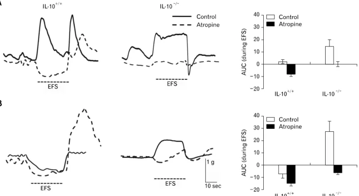 Figure 7. Response to electric field stimulation (EFS, 10 Hz) of the proximal (A) and distal (B) colon in interleukin-10 wild type (IL-10 +/+ ) and  IL-10 knockout (IL-10 −/− ) mice before and after treatment with atropine (1 M)