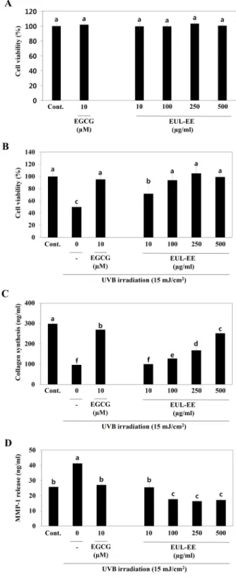 Fig.  4.  Anti-wrinkle  effects  of  EUL-EE  in  UVB-irradiated  CCD-  986sk  human  dermal  cells  (15  mJ/cm 2 )