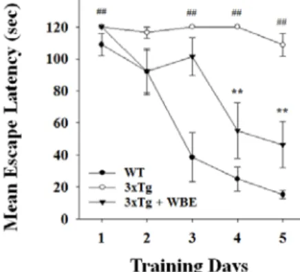 Fig.  4  Learning  and  memory  enhancing  effect  of  WBE  in  3xTg  AD  mice.  Learning  and  memory  functions  were  evaluated  by  Morris  water  maze  test