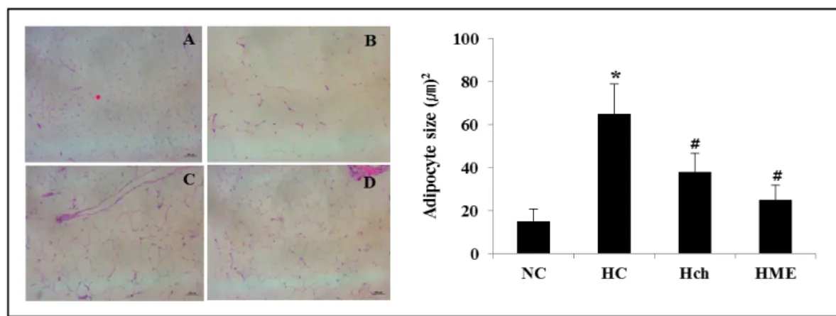 Fig.  2.  The  change  of  adipocyte  size  of  high-fat  fed  mice.  Values  are  expressed  as  means  ±  SEM