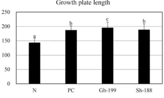 Fig.  3.  Effects  of  samples  on  the  femoral  bone  length  in  male  rats  fed  Astragalus  membranaceus  and  Gh-199,  Sh-188