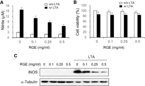 Fig.  1.  RGE  inhibits  NO  production  and  iNOS  expression  in  LTA-stimulated  microglial  cells