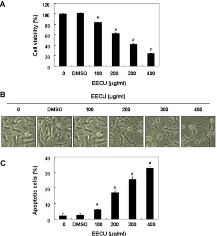 Fig.  1.  Inhibition  of  cell  viability  and  induction  of  apoptosis  by  EECU  in  MDA-MB-231  cells
