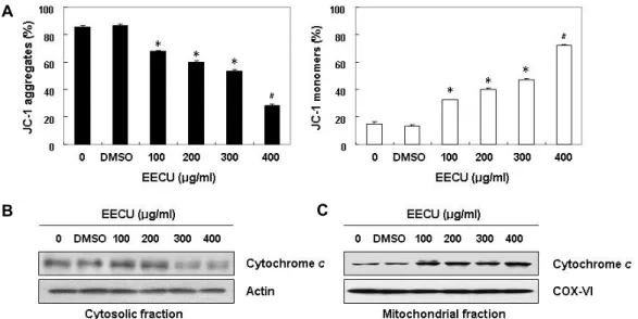 Fig.  4.  Effects  of  EECU  on  the  levels  of  MMP  values  and  cytochrome  c  expression  in  MDA-MB-231  cells