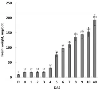 Fig.  3.  Changes  in  unsaturated  fatty  acid  content  in  cucumber  cotyledons  from  dry  seed  to  day  40,  the  second  stage  of  cotyledon  senescence