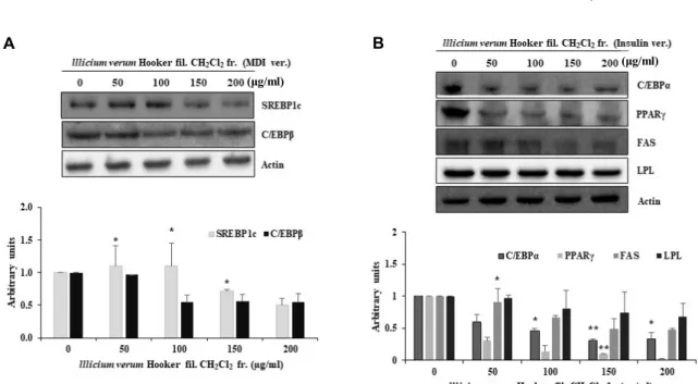 Fig.  4.  Expression  of  adipogenesis-related  proteins  in  3T3-L1  cells  treated  with  lllicium  verum  Hooker  fil