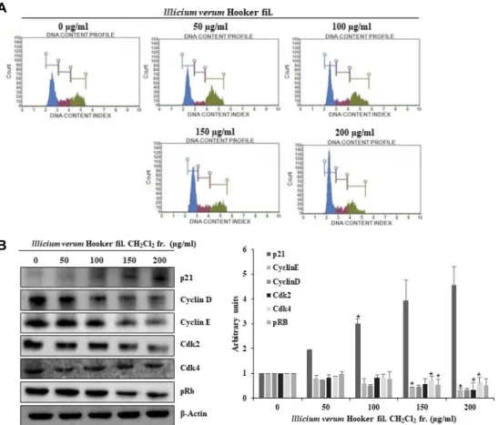 Fig.  6.  Cell  cycle  analysis  of  3T3-L1  cells  treated  with  of  lllicium  verum  Hooker  fil