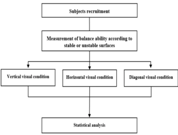 Fig.  3.  Experimental  procedure