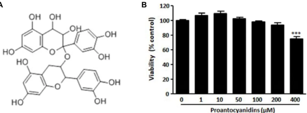 Fig.  1.  Effect  of  proanthocyanidins  on  cell  viability  in  RAW264.7  macrophages