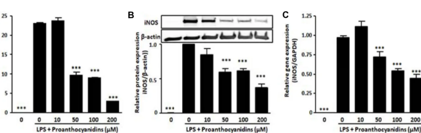 Fig.  3.  Proanthocyanidins  significantly  reduced  LPS-induced  NO  production  and  iNOS  expression