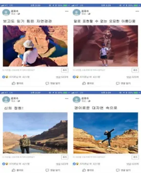 Fig.  1.  Posts  including  figure  of  the  tourist 