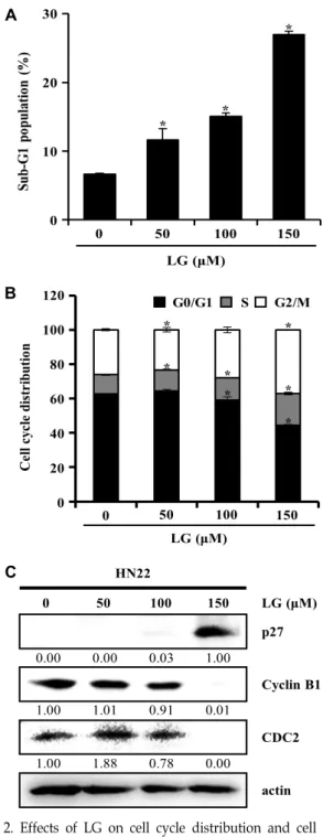 Fig.  2.  Effects  of  LG  on  cell  cycle  distribution  and  cell  cycle  regulation  protein  expression  in  HN22  cells