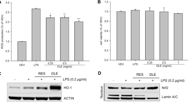Fig.  4.  ROS  scavenging  effects  of  DLE  and  up-regulation  of  HO-1  via  increased  nuclear  translocation  of  Nrf2  by  DLE  treatment