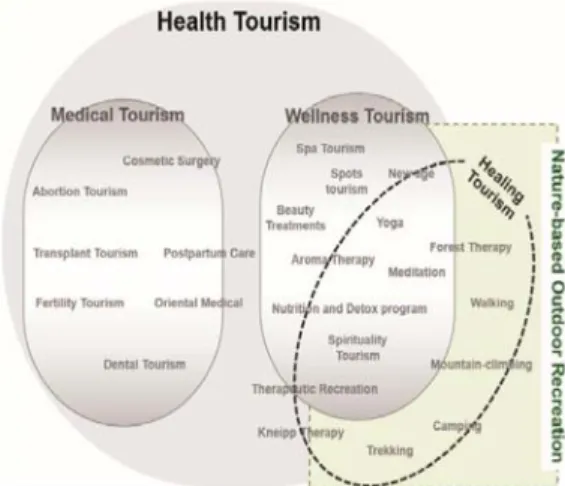 Fig.  1.  Korea  Healing  Tourism  Area